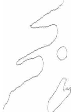 2×2 艺术驻留项目与艺术家记录图像